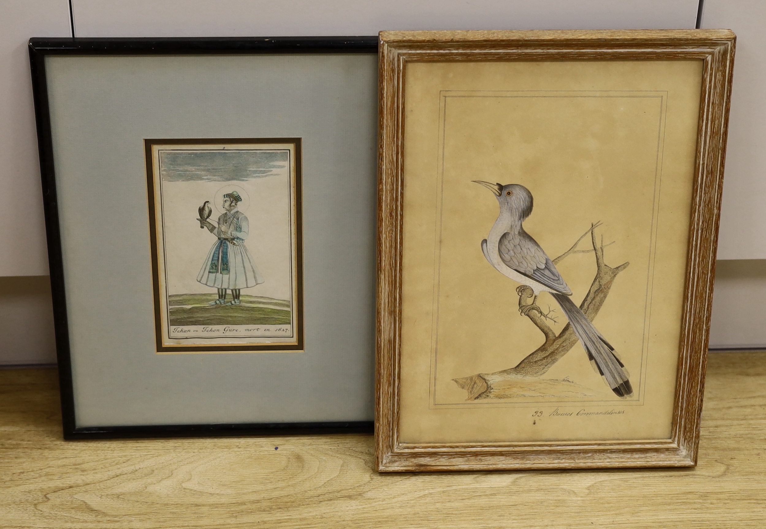 Two Indian engravings, 'Lehan or Tehon Gure with falcon' and a similar Indian company style engraving of a Hornbill, largest 34 x 24cm